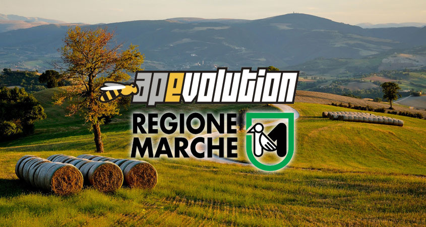 Moduli Regione Marche